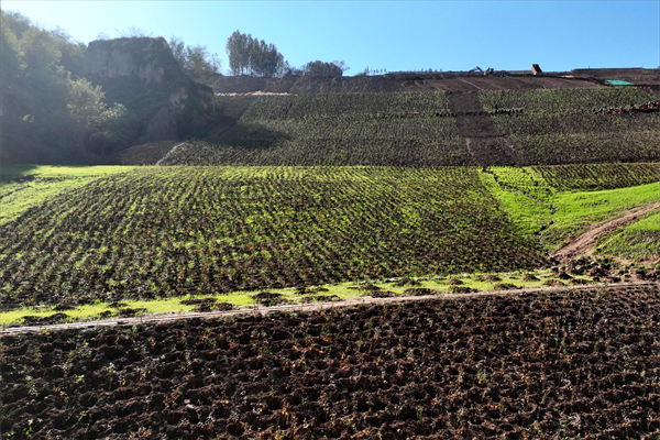 DJI_0743(1)(1)_.png